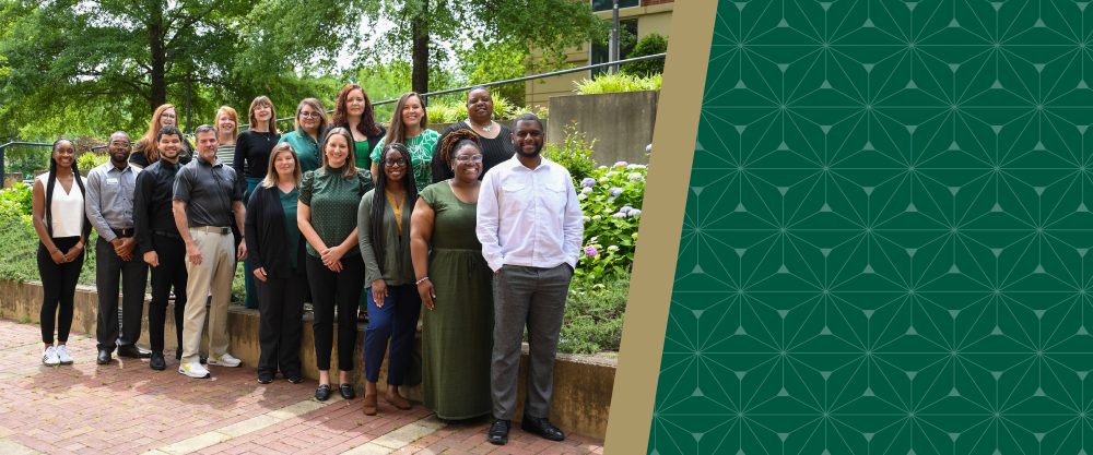 Group of advisors in CHESS.