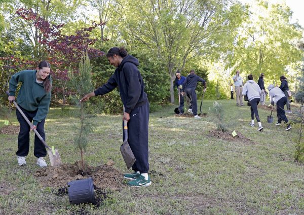 Students planting trees for the 2025 Campus Beautification Day