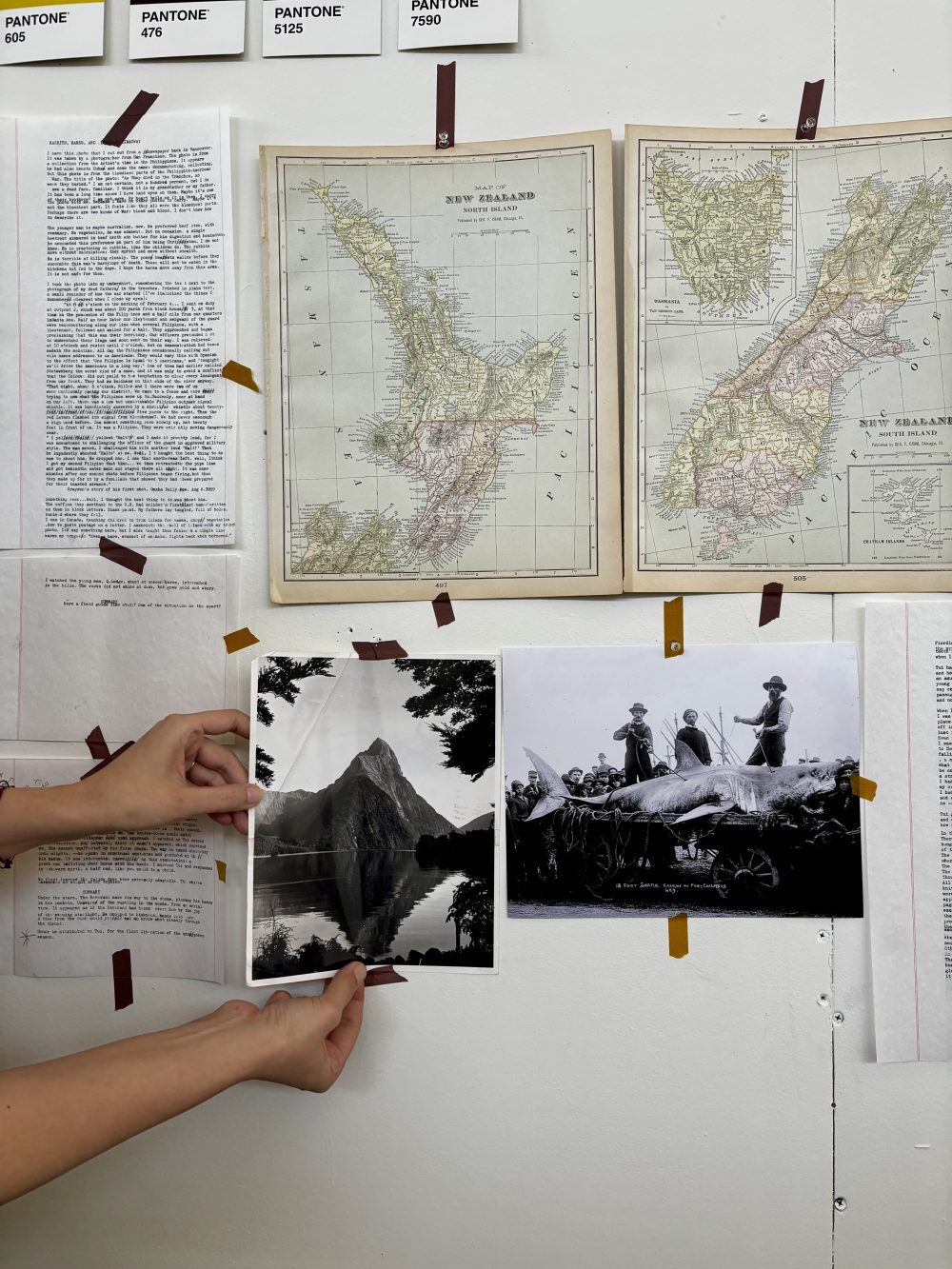 Hussey's hands hanging up a black and white photo of a mountain onto the white wall of her studio. Next to it is a photo of a hunted shark and three people, with two maps of New Zealand and other papers surrounding it. 